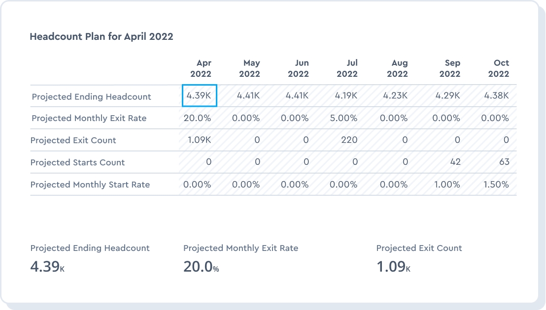 Project and plan for the future